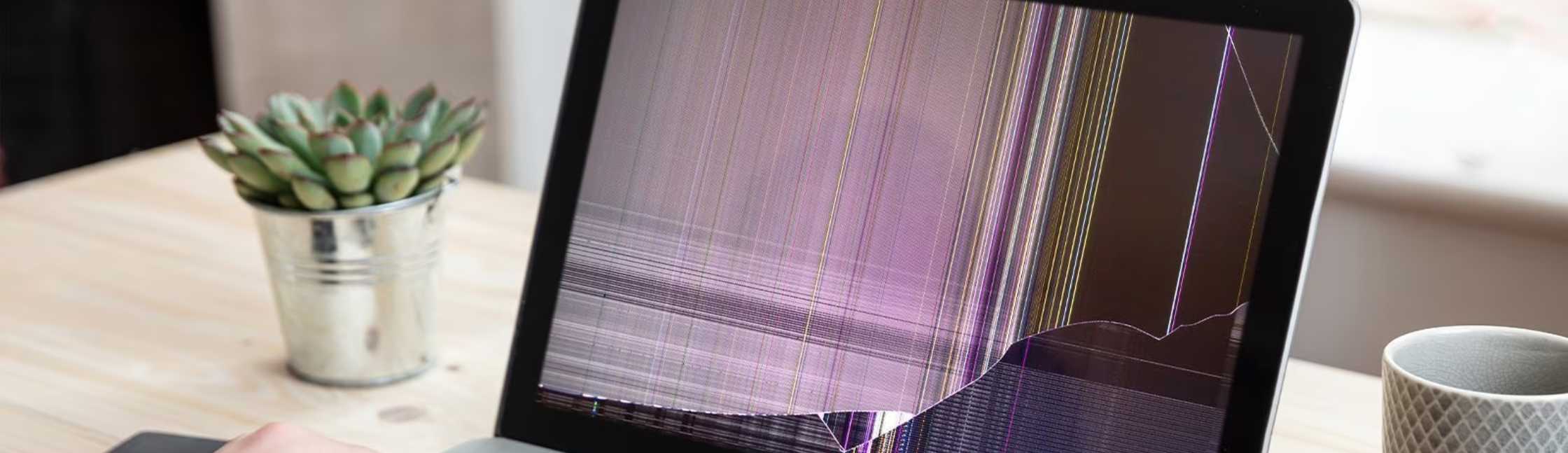 Screen Repair 