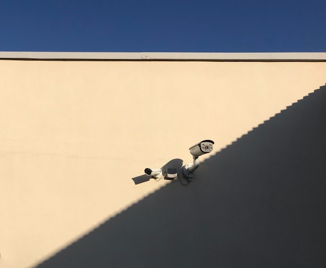 Blurry or Distorted Video Quality Issue 