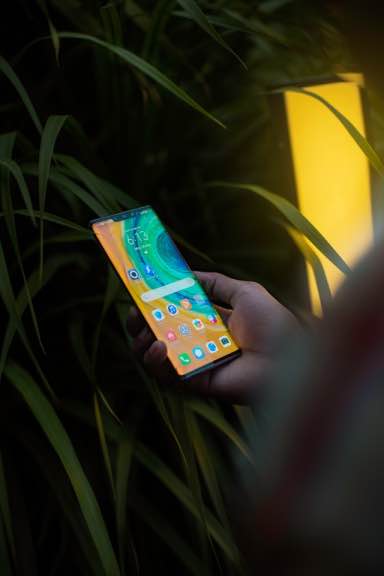 Screen Issues 